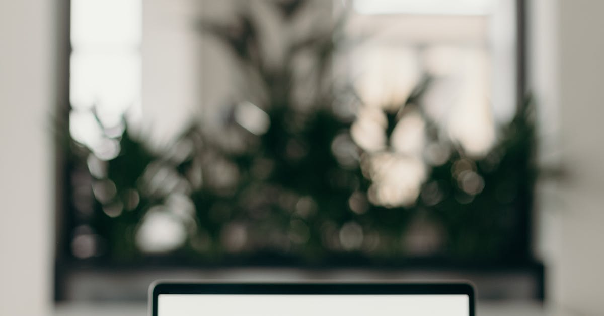 Importance of Regular Vacuuming in Office Spaces