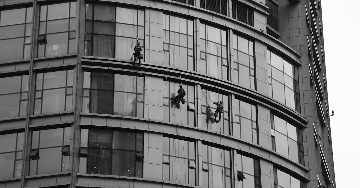 Maintenance Tips for Office Windows Between Professional Cleanings