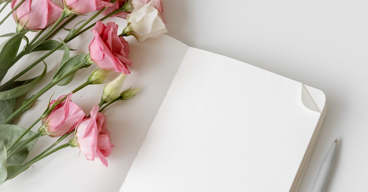 Professional Carpet Cleaning vs. DIY Methods: A Comparison