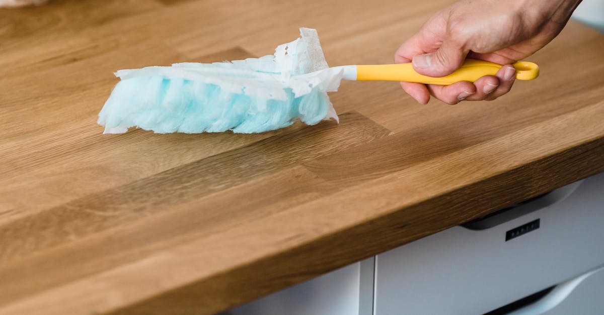 Understanding the Role of Upholstery Cleaning in Office Maintenance